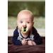 Shop Billy Bob Silicon Schnuller - Gold | Stylish & Safe Pacifier for Babies | International Shipping Available - Buy Online on GoSupps.com