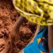 Fairale Ghana Rohe Rohe 2.77kg African Shea Butter - Handmade 100% Natural Vegan & Ivory Colored - Buy Online on GoSupps.com