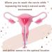 Complete Home Insemination Kit - Easy & Safe Fertility Solutions for International Shipping - Buy Online on GoSupps.com