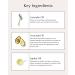 John Masters Organics Hair Conditioner - 1 Pack (236 ml) | Premium Natural Hair Care for All Hair Types - Fast International Shipping - Buy Online on GoSupps.com