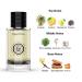 Men's Cologne Phantom Perfume Original Pheromone Oil for Man and Women Woody Aromatic (Foug re)-1.67oz 50mL PHANTOM Cologne - Buy Online on GoSupps.com