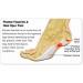 Plantar Fasciitis Compression Sleeve - Small/Medium | International Shipping Available - Buy Online on GoSupps.com