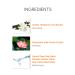 AHC Natural Perfection Fresh Sun Stick 22g | SPF 50+/PA++++ | Buy Online - Buy Online on GoSupps.com