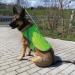 Reflective Dog Warning Vest - Robust Safety Jacket for Dogs | Neon Yellow Sizes Available - Buy Online on GoSupps.com