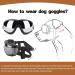 Dog Goggles for UV Wind & Dust Protection | Adjustable Sunglasses for Medium & Large Dogs - Buy Online on GoSupps.com