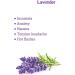 Buy Sleeping Pills Acupressure Bracelets & Lavender Aromatherapy | Sleepless Band Anti-Evil Emotion Bracelets - Black & Lavender (Medium 7 in) - International Shipping Available - Buy Online on GoSupps.com