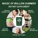 NutraNourish Mullein Gummies for Lung Detox 1000mg Mullein Leaf Herb Extract for Respiratory & Digestive & Immune Support Vegan Pear Flavor - Buy Online on GoSupps.com