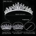 Aoligrace 5A Cubic Zirconia Wedding Tiara for Women - Small Bride Floral Headpiece in Silver - Buy Online on GoSupps.com