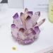 Home 1PC Natural Purple Crystal Cluster Original Stone Specimen Piece High Penetration Crystal Trophy Stone Home Goods (Color : Purple Cluster Size : 600-700g) 600-700g Purple Cluster - Buy Online on GoSupps.com
