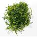 Wakame Seaweed Stalk Dried Natural Hello Seaweed Dried For Salad From China 400g in Bulk - Buy Online on GoSupps.com