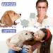 Autoecho Respiratory Spray for Dogs & Cats | 50ml Natural Breathing Freshener | Oral Care Cleaners for Puppies & Kittens - International Shipping - Buy Online on GoSupps.com