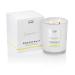 Luxury Scented Candles Gifts for Women | Natural Wax Blend | 65 Hours Burn time | Hotel Collection | The Copenhagen Company - Grapefruit (21oz) 21oz Grapefruit 21oz