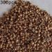Luojuny Coriander Seeds 300pcs Coriander Seeds Garden Bonsai Nutritious Vegetable Flavor Cooking Plant Coriander Seeds - Buy Online on GoSupps.com