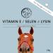 Annimally Horse Vitamin E Lysine & Selenium Powder - 2kg Refill for Muscle Support & Performance - Buy Online on GoSupps.com