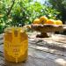 Il Tomolo Italian citrus flower honey 500g - Buy Online on GoSupps.com