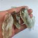 Natural Crystal Rough 1pc Natural Green Crystal Quartz Minerals Specimen Irregular Shape Rough Rock Stone Home Decoration 3-6cm 1pcs - Buy Online on GoSupps.com