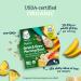 Gerber Organic Grain & Grow Morning Bowl - Oats, Barley, Red Quinoa with Banana & Summer Berries, 4.5oz (Pack of 8) - Buy Online on GoSupps.com