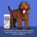 Doggie Dust Grooming Powder - Easy Brushing Solution for Dog Mats and Tangles - Buy Online on GoSupps.com