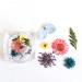 Dry Flower Nail Art Real Flowers for Nails 3D Nails Stickers with Nature Dry Flowers in Mix and Match - Buy Online on GoSupps.com
