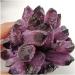 Natural Crystal 1 Piece of Natural Purple Ghost Quartz Crystal Cluster Rough Crystal Specimen for Home and Office Decoration Power Stone Crystal ningxiao (Size : 600-750g) - Buy Online on GoSupps.com
