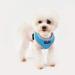 Puppia Soft Harness II | Comfortable Adjustable Soft Dog Harness for Small & Medium Dogs - Sky Blue L - Buy Online on GoSupps.com
