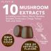 Premium Mushroom Gummies - 10 Mushroom Complex Extract for Brain & Immune Support - Lion's Mane, Reishi, Shiitake - Nootropic Formula for Mood & Relaxation - 60 Chews - Buy Online on GoSupps.com