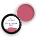 Everyday Lip Cheek and Eye Tint Balm for Women | Lip Tint - Peony Peach | Long Lasting Vegan with Vitamin E Oil 25Gram 0.88Ounce.
