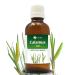 Calamus (Acorus Calamus) Essential Oil 100% Pure & Natural - Undiluted Uncut Cold Pressed Aromatherapy Premium Oil - Therapeutic Grade - 30 ML Calamus 30 ml (Pack of 1)