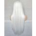BLUPLE 22 Platinum White Synthetic Hair Wig for Cosplay Daily Wear - No Lace Straight None-Lace Wig #1001 - Buy Online on GoSupps.com