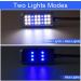 Clip-on Aquarium Light with White and Blue LEDs - Small Fish Tank Lighting 1.5w - Buy Online on GoSupps.com