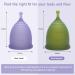 Soft Menstrual Cup - Medical Grade Silicone | Reusable & Comfortable | BPA Free - Wear for 12 Hours (Small Violet - Buy Online on GoSupps.com