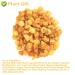 Plantgift Natural Dried Longan 100g - Premium Quality 100% Fruit Meat No Sugar Perfect for Teas Desserts & Cooking - Buy Online on GoSupps.com