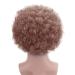 Fluffy Afro Synthetic Clown Wig - Brown | Cosplay, Halloween, Party & Christmas Costume - Buy Online on GoSupps.com