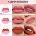 3Pcs Nude Pink Beige Chestnut Mauve Orange Red Matte Velvet Lazy Lipstick Set - Long Lasting, Waterproof, Smudge Proof Lip Stick Packs for Women - 3 Count - Buy Online on GoSupps.com