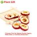 Buy Dried Hawthorn Berries (Shaanzha) - 80g Plant Gift for Health Tea | International Shipping - Buy Online on GoSupps.com