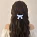 Aneneiceera Vintage Silk Bow Hair Clip Blue Bow Hair Barrette Clip Tiny Tulle Hair Bow Clip French Bowknot Tail Clips Cute Bowknot Hair Accessories for Women and Girls Gifts (Light Blue) - Buy Online on GoSupps.com