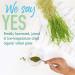 Garden of Life Raw Organic Perfect Food Wheat Grass Juice - Green Superfood Powder 60 Servings, 8.46oz - Non-GMO, Vegan, Gluten & Stevia Free - Buy Online on GoSupps.com
