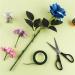 DECORA 1/2 Dark Green Floral Tape - Ideal for Bouquet Stem Wrapping and Crafts - Buy Online on GoSupps.com