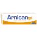 Arnican Gel 50 g