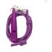 Buy Acme Dog Whistle No. 210.5 - Free Pipe Band | Loud & Effective for Dog Recall | Professional Training (Purple) - Buy Online on GoSupps.com