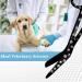 Rainbow Color Lister Bandage Scissors 5.5 Stainless Steel - Black Paws Design | A2ZSCILAB - Buy Online on GoSupps.com