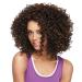 FOReverweihuajz Women Synthetic Hair Curly Afro Wigs for Cosplay Costume #2