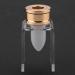 Silicon Handmade Lipstick Mold - DIY Agle Mouth Shape Lipstick Filling Tube for Creative Lipstick Making - Buy Online on GoSupps.com