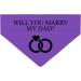 Personalized Dog Hollow - Marry My Daddy Triangular Cloth for Pets - Unique Collar Accessory - Buy Online on GoSupps.com