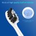 Buy Sonicare Replacement Heads for Philips Electric Toothbrush - Compatible with C2 & KD-G2 | Fast International Shipping - Buy Online on GoSupps.com
