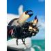 Lobster Gloves for Diving | Kevlar X-Large Dive Glove | Puncture Resistant - Buy Online on GoSupps.com