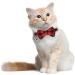 BANMODER Cat Collar Breakaway with Cute Bow Tie and Bell - Personalized Plaid & Flower Patterns - Adjustable Kitten Safety Collars - 1 or 2 Pack Gift (Red) - Buy Online on GoSupps.com