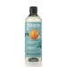 Itinera Daily Renewal Shampoo avec Extrait d'Orange Am re de Sicile Ingr dients Naturels Id al pour Cuir Chevelu Sensible Nourrissant et nergisant Pour Cheveux Vibrants et Sains 370 ml