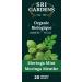 Sri Gardens Tea Moringa Mint Tea Bags 20 count - Buy Online on GoSupps.com