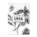Shop UMA Bestsellers Kit Top-Rated International Skincare Products - Buy Online on GoSupps.com